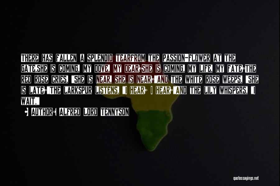 Alfred Lord Tennyson Quotes: There Has Fallen A Splendid Tearfrom The Passion-flower At The Gate.she Is Coming, My Dove, My Dear;she Is Coming, My