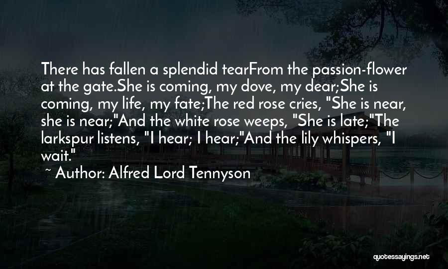 Alfred Lord Tennyson Quotes: There Has Fallen A Splendid Tearfrom The Passion-flower At The Gate.she Is Coming, My Dove, My Dear;she Is Coming, My