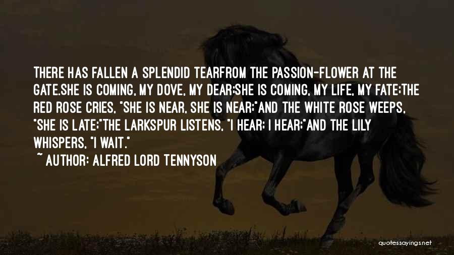Alfred Lord Tennyson Quotes: There Has Fallen A Splendid Tearfrom The Passion-flower At The Gate.she Is Coming, My Dove, My Dear;she Is Coming, My