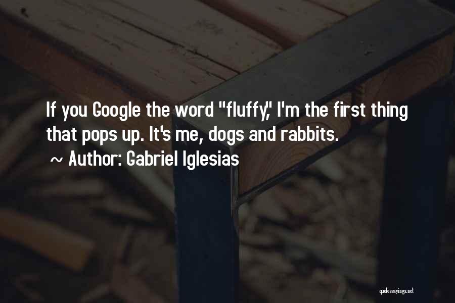 Gabriel Iglesias Quotes: If You Google The Word Fluffy, I'm The First Thing That Pops Up. It's Me, Dogs And Rabbits.