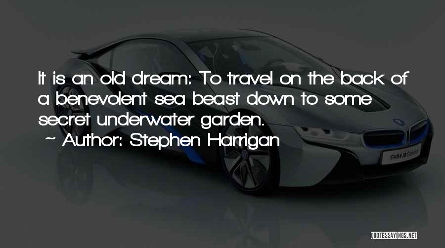 Stephen Harrigan Quotes: It Is An Old Dream: To Travel On The Back Of A Benevolent Sea Beast Down To Some Secret Underwater