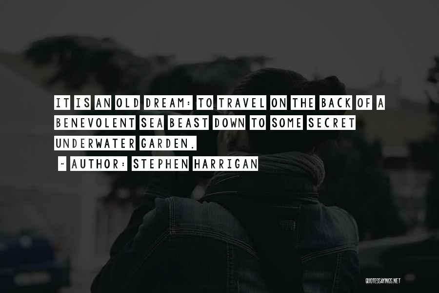 Stephen Harrigan Quotes: It Is An Old Dream: To Travel On The Back Of A Benevolent Sea Beast Down To Some Secret Underwater