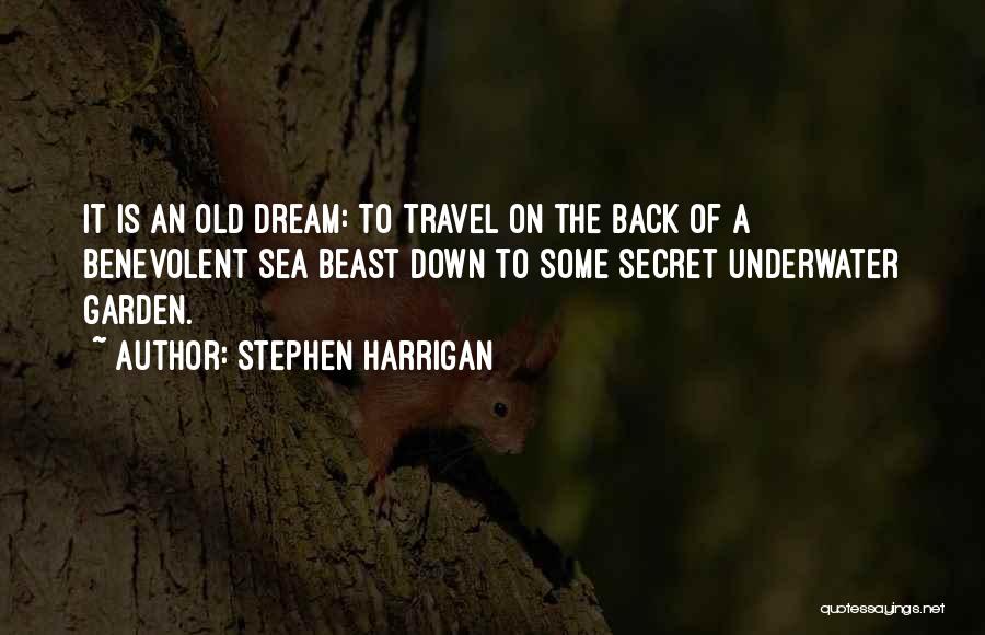 Stephen Harrigan Quotes: It Is An Old Dream: To Travel On The Back Of A Benevolent Sea Beast Down To Some Secret Underwater