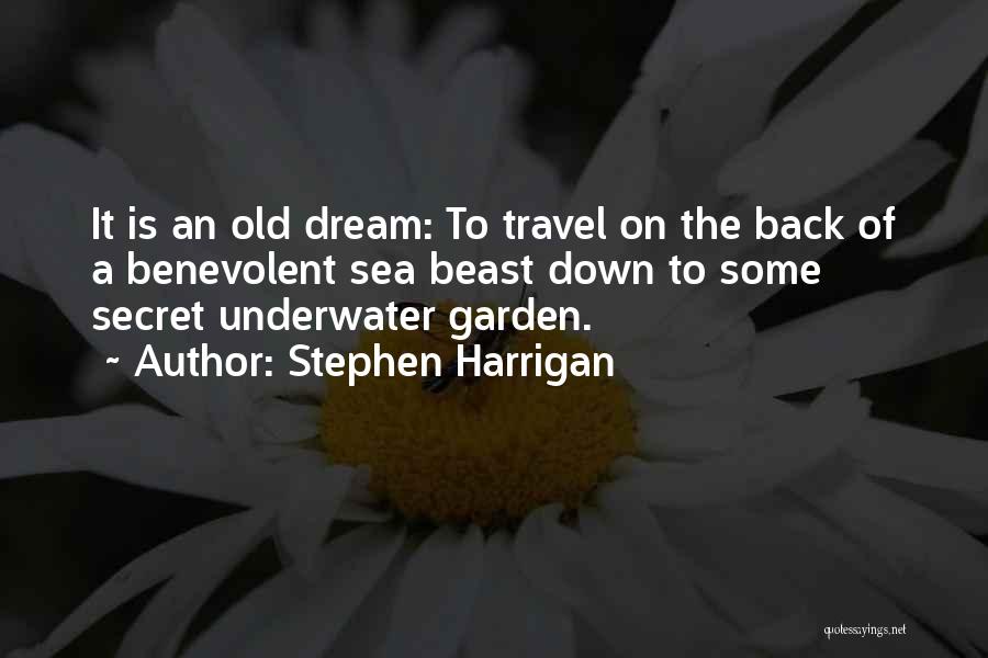 Stephen Harrigan Quotes: It Is An Old Dream: To Travel On The Back Of A Benevolent Sea Beast Down To Some Secret Underwater