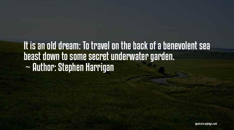 Stephen Harrigan Quotes: It Is An Old Dream: To Travel On The Back Of A Benevolent Sea Beast Down To Some Secret Underwater