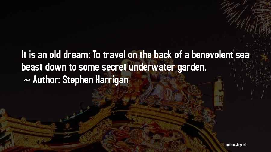 Stephen Harrigan Quotes: It Is An Old Dream: To Travel On The Back Of A Benevolent Sea Beast Down To Some Secret Underwater