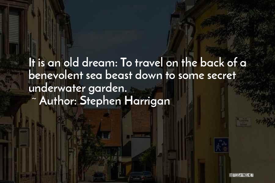 Stephen Harrigan Quotes: It Is An Old Dream: To Travel On The Back Of A Benevolent Sea Beast Down To Some Secret Underwater