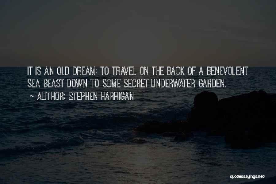 Stephen Harrigan Quotes: It Is An Old Dream: To Travel On The Back Of A Benevolent Sea Beast Down To Some Secret Underwater