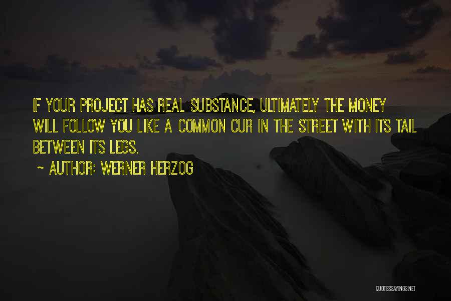 Werner Herzog Quotes: If Your Project Has Real Substance, Ultimately The Money Will Follow You Like A Common Cur In The Street With