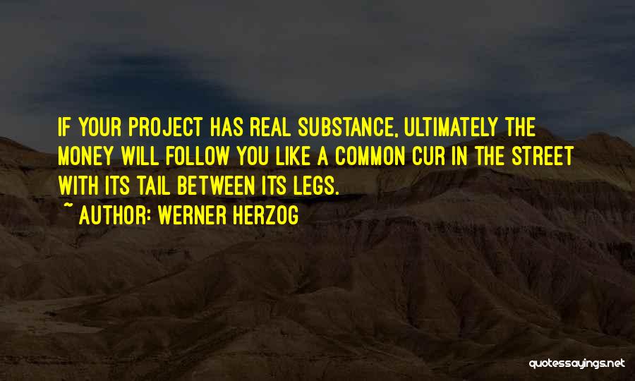 Werner Herzog Quotes: If Your Project Has Real Substance, Ultimately The Money Will Follow You Like A Common Cur In The Street With