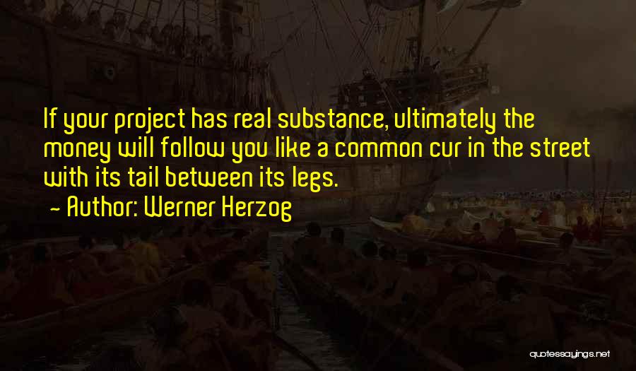 Werner Herzog Quotes: If Your Project Has Real Substance, Ultimately The Money Will Follow You Like A Common Cur In The Street With