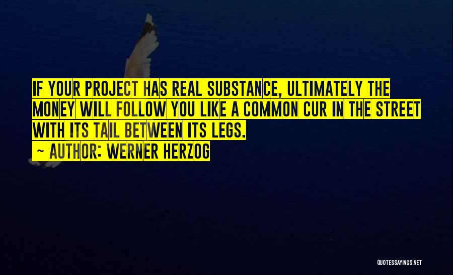 Werner Herzog Quotes: If Your Project Has Real Substance, Ultimately The Money Will Follow You Like A Common Cur In The Street With