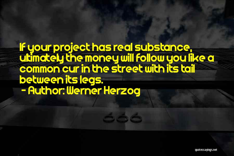 Werner Herzog Quotes: If Your Project Has Real Substance, Ultimately The Money Will Follow You Like A Common Cur In The Street With