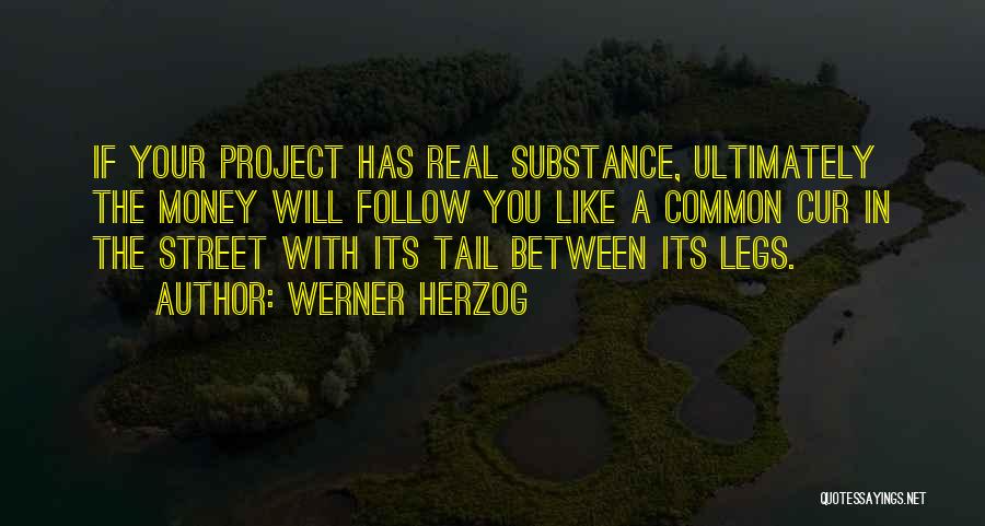 Werner Herzog Quotes: If Your Project Has Real Substance, Ultimately The Money Will Follow You Like A Common Cur In The Street With