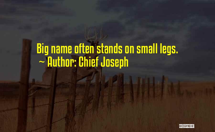 Chief Joseph Quotes: Big Name Often Stands On Small Legs.