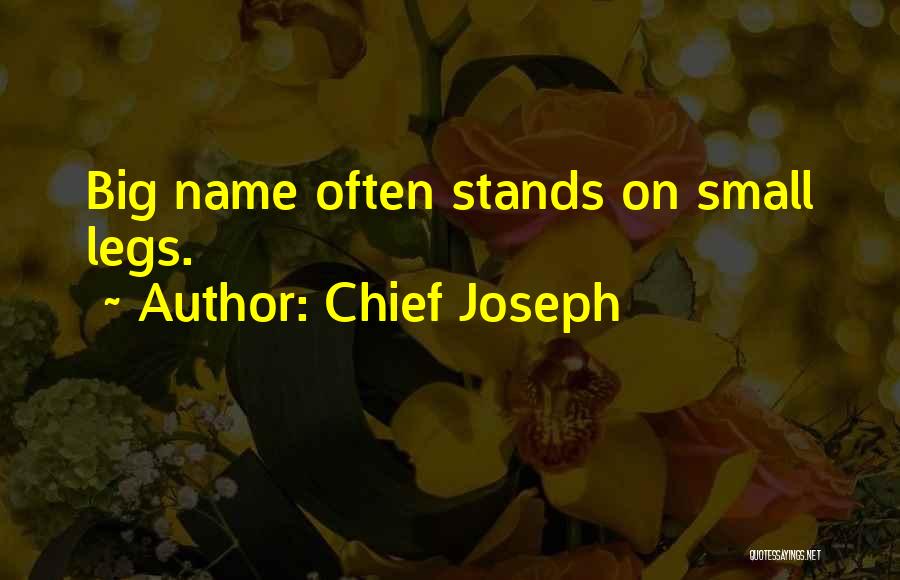 Chief Joseph Quotes: Big Name Often Stands On Small Legs.