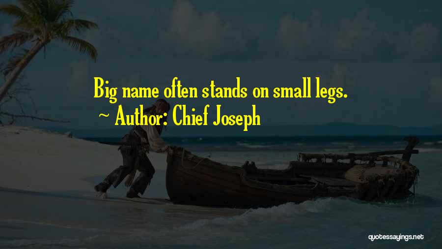 Chief Joseph Quotes: Big Name Often Stands On Small Legs.