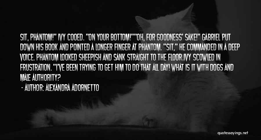 Alexandra Adornetto Quotes: Sit, Phantom! Ivy Cooed. On Your Bottom!oh, For Goodness' Sake! Gabriel Put Down His Book And Pointed A Longer Finger