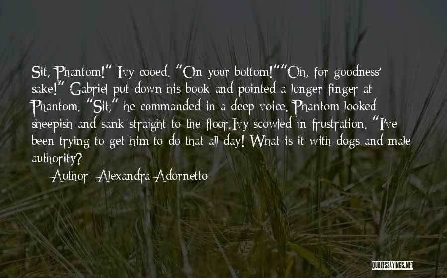 Alexandra Adornetto Quotes: Sit, Phantom! Ivy Cooed. On Your Bottom!oh, For Goodness' Sake! Gabriel Put Down His Book And Pointed A Longer Finger