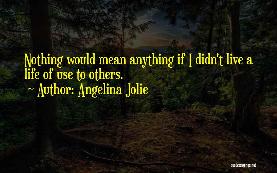 Angelina Jolie Quotes: Nothing Would Mean Anything If I Didn't Live A Life Of Use To Others.