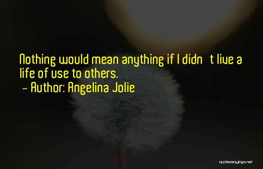 Angelina Jolie Quotes: Nothing Would Mean Anything If I Didn't Live A Life Of Use To Others.