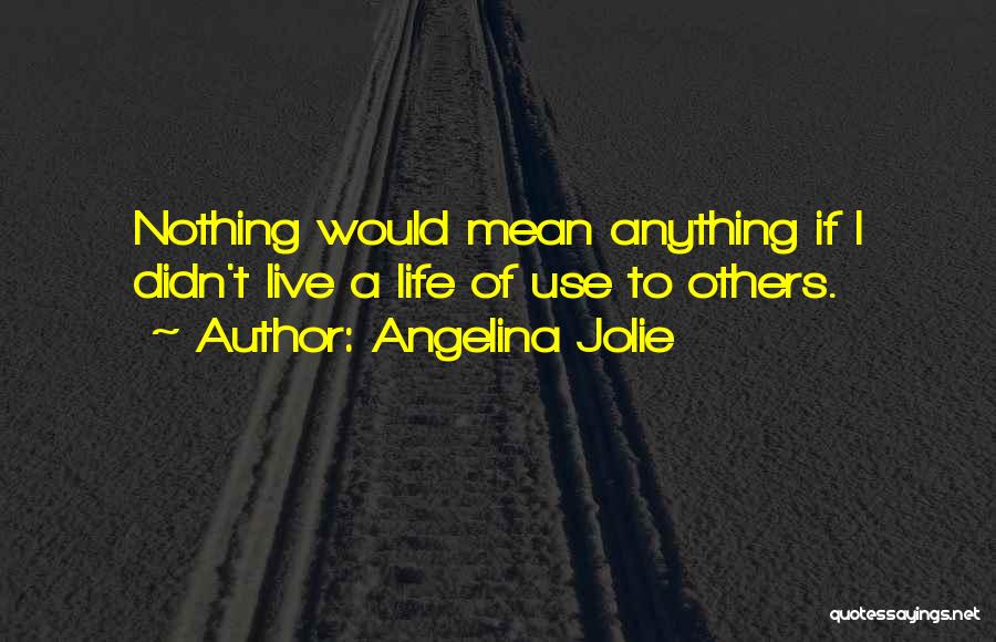 Angelina Jolie Quotes: Nothing Would Mean Anything If I Didn't Live A Life Of Use To Others.