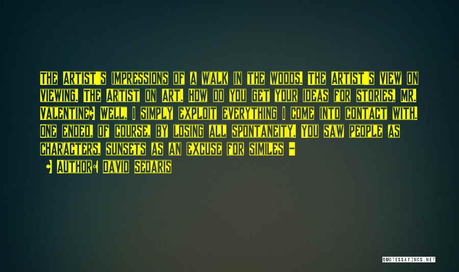 David Sedaris Quotes: The Artist's Impressions Of A Walk In The Woods. The Artist's View On Viewing. The Artist On Art. How Do