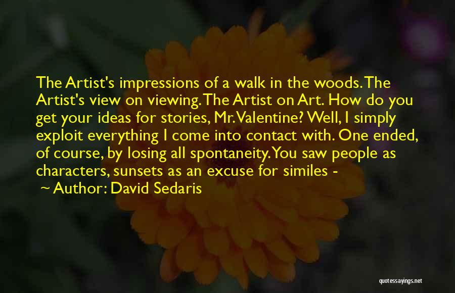 David Sedaris Quotes: The Artist's Impressions Of A Walk In The Woods. The Artist's View On Viewing. The Artist On Art. How Do