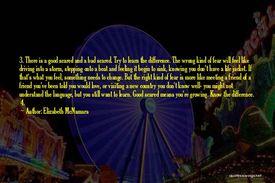 Elizabeth McNamara Quotes: 3. There Is A Good Scared And A Bad Scared. Try To Learn The Difference. The Wrong Kind Of Fear