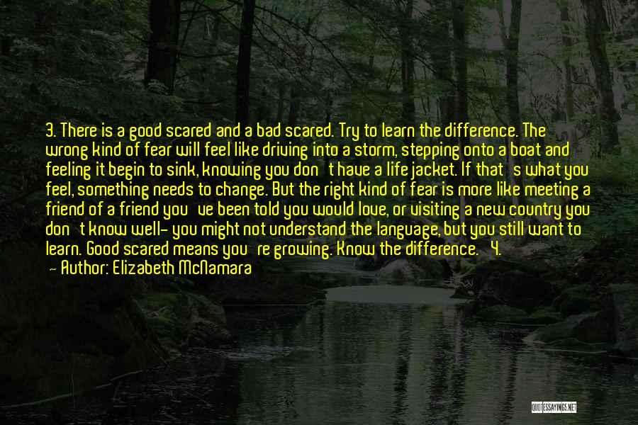 Elizabeth McNamara Quotes: 3. There Is A Good Scared And A Bad Scared. Try To Learn The Difference. The Wrong Kind Of Fear