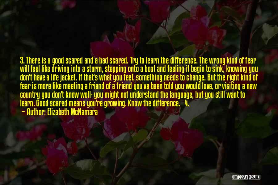 Elizabeth McNamara Quotes: 3. There Is A Good Scared And A Bad Scared. Try To Learn The Difference. The Wrong Kind Of Fear