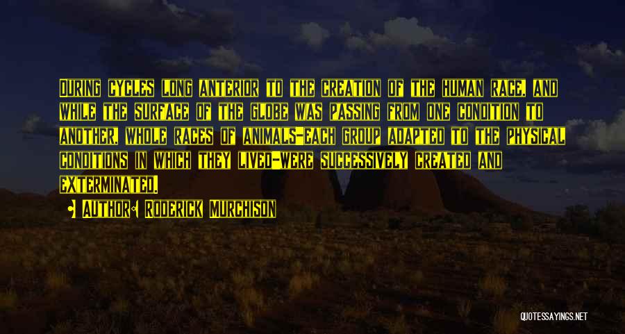 Roderick Murchison Quotes: During Cycles Long Anterior To The Creation Of The Human Race, And While The Surface Of The Globe Was Passing