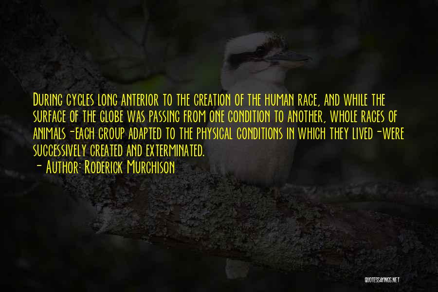 Roderick Murchison Quotes: During Cycles Long Anterior To The Creation Of The Human Race, And While The Surface Of The Globe Was Passing