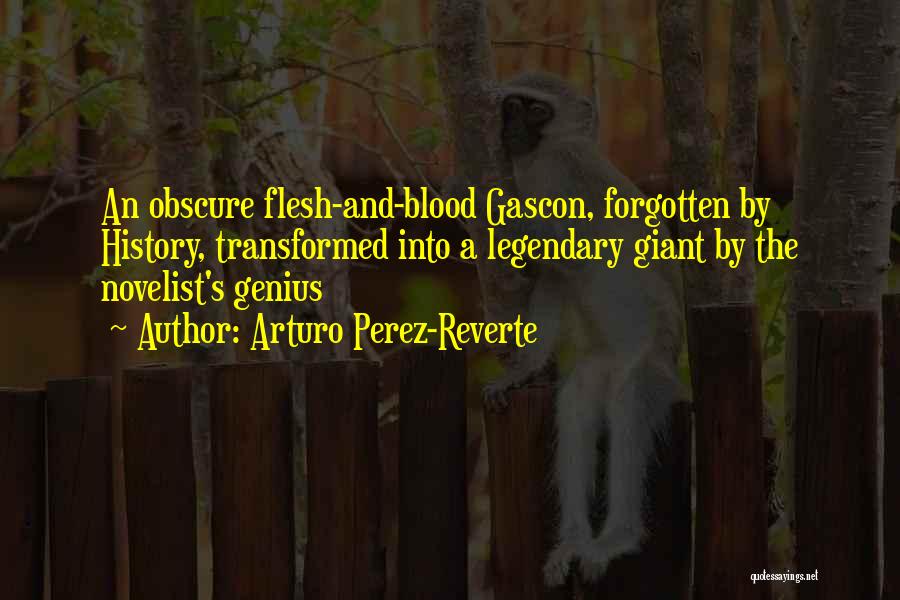 Arturo Perez-Reverte Quotes: An Obscure Flesh-and-blood Gascon, Forgotten By History, Transformed Into A Legendary Giant By The Novelist's Genius