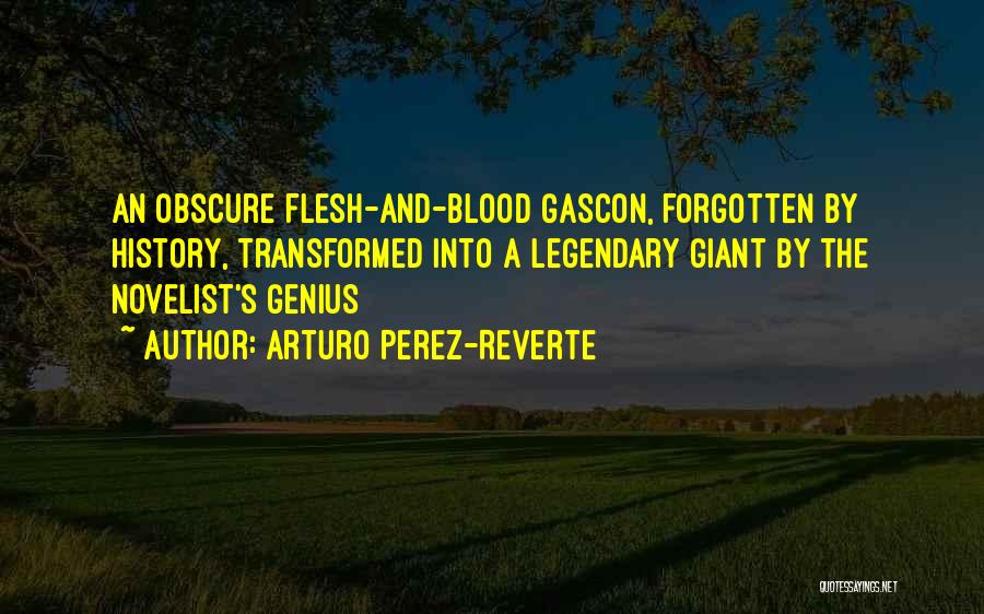 Arturo Perez-Reverte Quotes: An Obscure Flesh-and-blood Gascon, Forgotten By History, Transformed Into A Legendary Giant By The Novelist's Genius