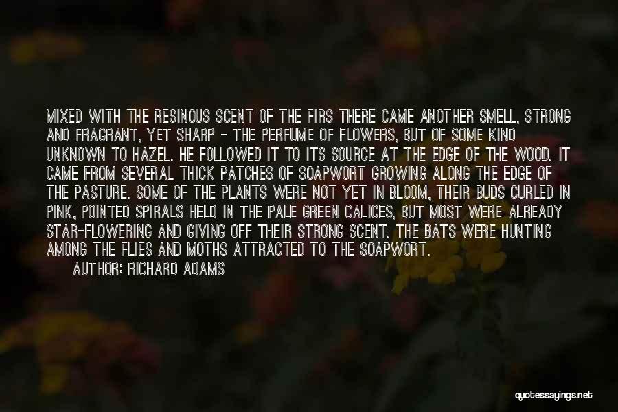 Richard Adams Quotes: Mixed With The Resinous Scent Of The Firs There Came Another Smell, Strong And Fragrant, Yet Sharp - The Perfume