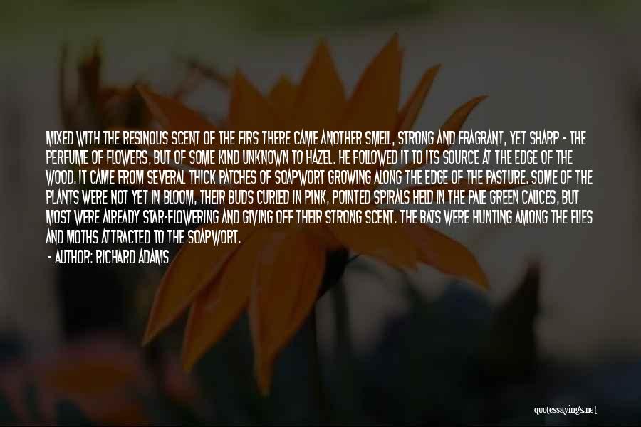 Richard Adams Quotes: Mixed With The Resinous Scent Of The Firs There Came Another Smell, Strong And Fragrant, Yet Sharp - The Perfume