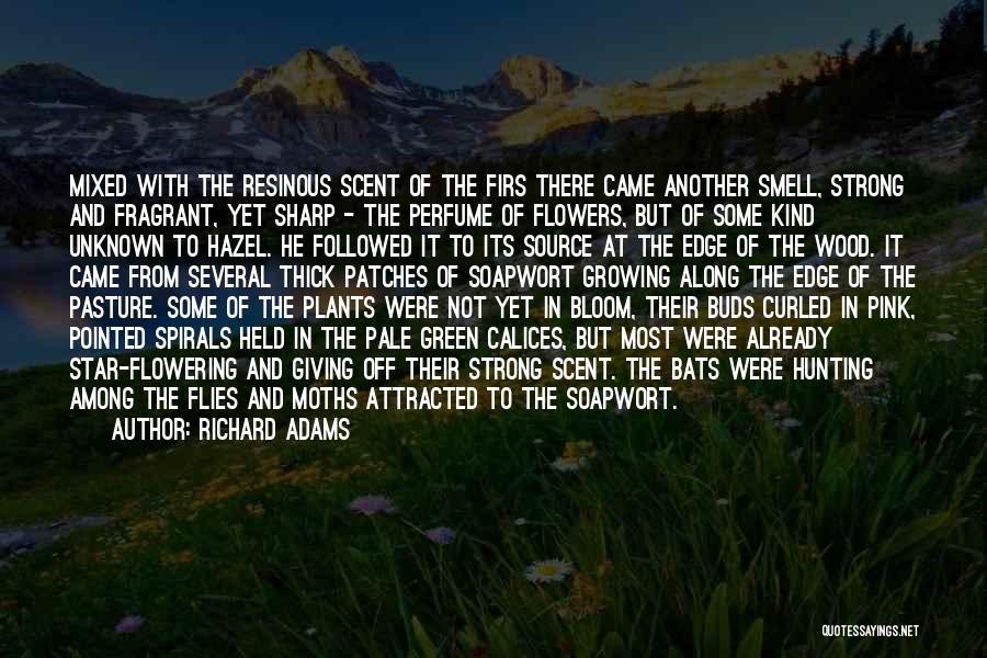 Richard Adams Quotes: Mixed With The Resinous Scent Of The Firs There Came Another Smell, Strong And Fragrant, Yet Sharp - The Perfume