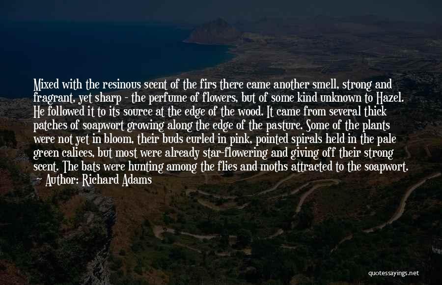 Richard Adams Quotes: Mixed With The Resinous Scent Of The Firs There Came Another Smell, Strong And Fragrant, Yet Sharp - The Perfume