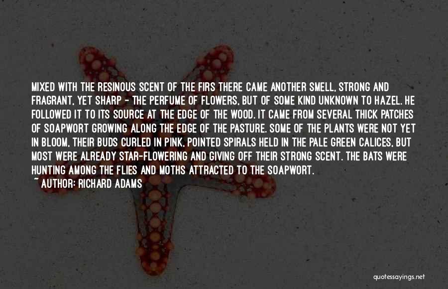 Richard Adams Quotes: Mixed With The Resinous Scent Of The Firs There Came Another Smell, Strong And Fragrant, Yet Sharp - The Perfume
