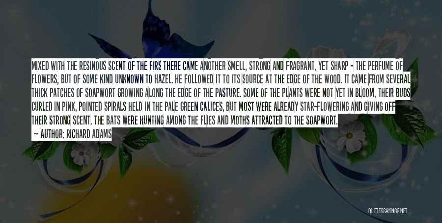 Richard Adams Quotes: Mixed With The Resinous Scent Of The Firs There Came Another Smell, Strong And Fragrant, Yet Sharp - The Perfume