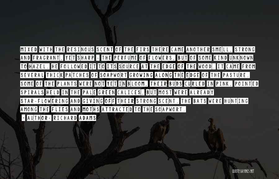 Richard Adams Quotes: Mixed With The Resinous Scent Of The Firs There Came Another Smell, Strong And Fragrant, Yet Sharp - The Perfume