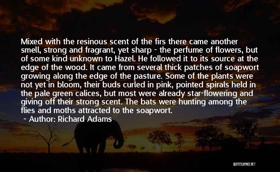 Richard Adams Quotes: Mixed With The Resinous Scent Of The Firs There Came Another Smell, Strong And Fragrant, Yet Sharp - The Perfume