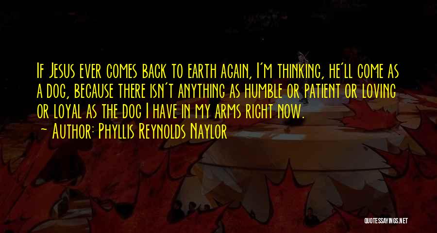 Phyllis Reynolds Naylor Quotes: If Jesus Ever Comes Back To Earth Again, I'm Thinking, He'll Come As A Dog, Because There Isn't Anything As