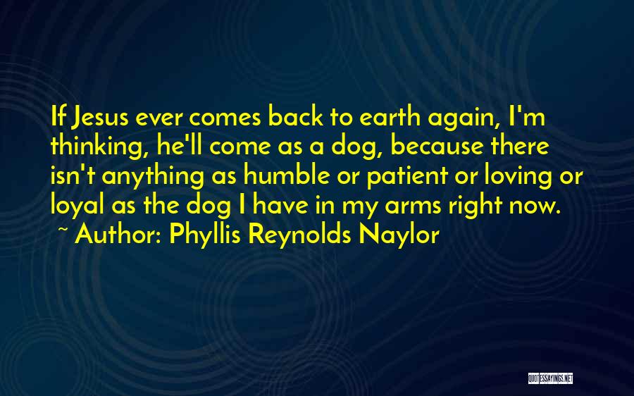 Phyllis Reynolds Naylor Quotes: If Jesus Ever Comes Back To Earth Again, I'm Thinking, He'll Come As A Dog, Because There Isn't Anything As