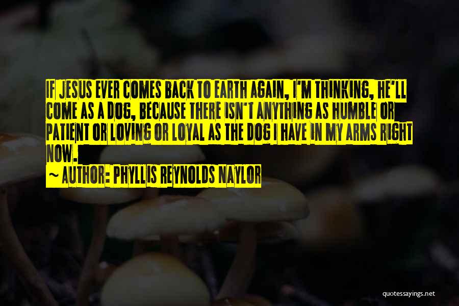 Phyllis Reynolds Naylor Quotes: If Jesus Ever Comes Back To Earth Again, I'm Thinking, He'll Come As A Dog, Because There Isn't Anything As