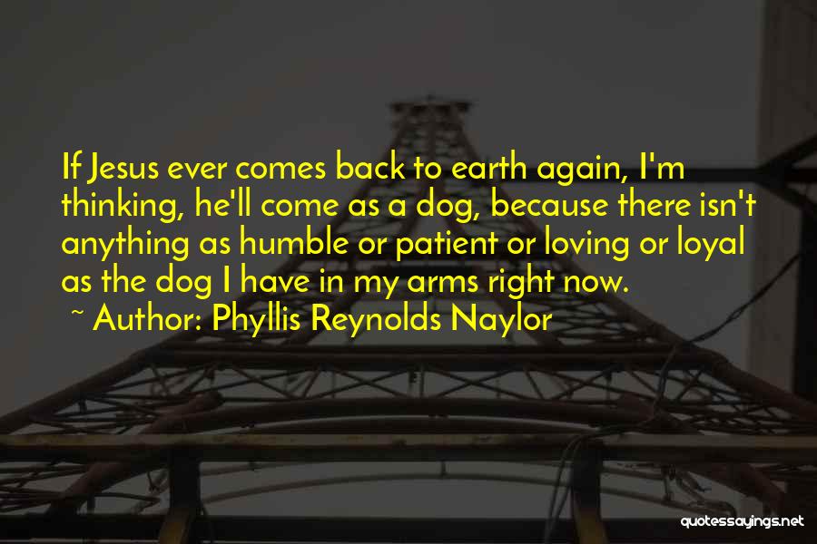 Phyllis Reynolds Naylor Quotes: If Jesus Ever Comes Back To Earth Again, I'm Thinking, He'll Come As A Dog, Because There Isn't Anything As