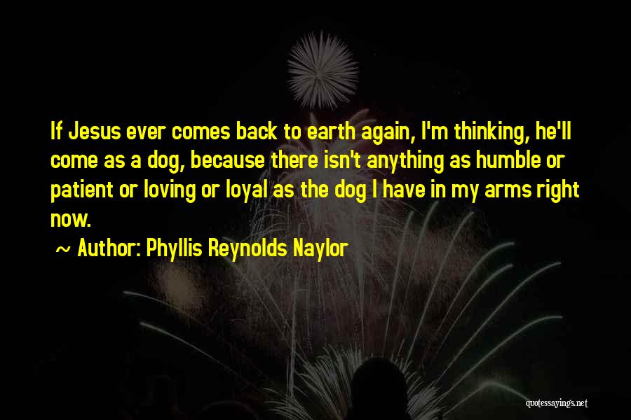 Phyllis Reynolds Naylor Quotes: If Jesus Ever Comes Back To Earth Again, I'm Thinking, He'll Come As A Dog, Because There Isn't Anything As