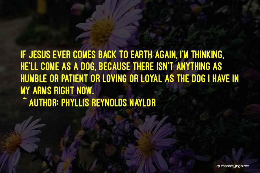 Phyllis Reynolds Naylor Quotes: If Jesus Ever Comes Back To Earth Again, I'm Thinking, He'll Come As A Dog, Because There Isn't Anything As