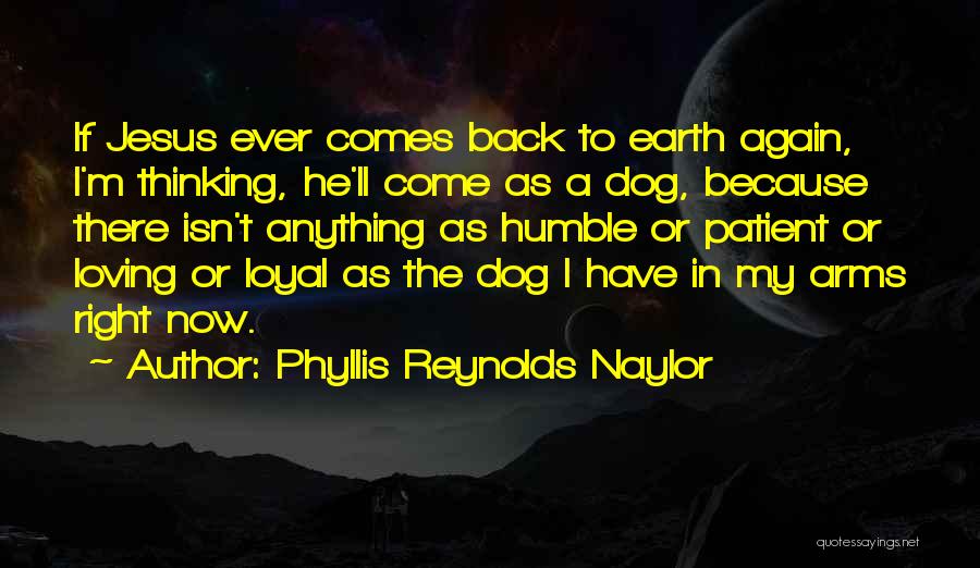 Phyllis Reynolds Naylor Quotes: If Jesus Ever Comes Back To Earth Again, I'm Thinking, He'll Come As A Dog, Because There Isn't Anything As